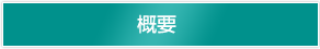 概要
